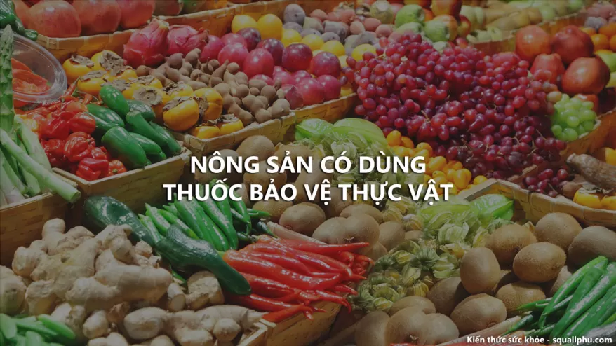 Nông sản sử dụng thuốc bảo vệ thực vật sẽ như nào? Healthy 29